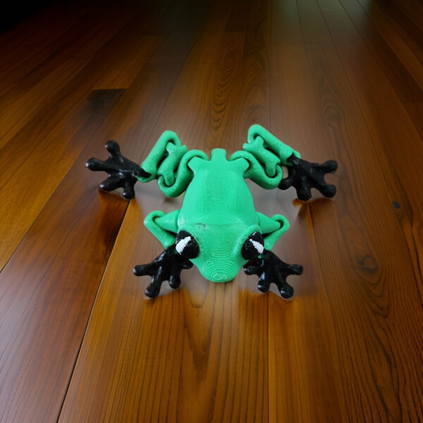 Cinderwing3D-Frog-Front