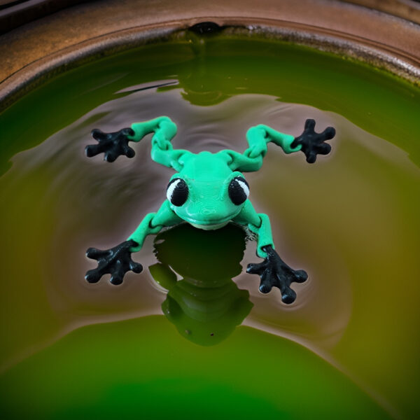 Cinderwing3D-Frog-Water