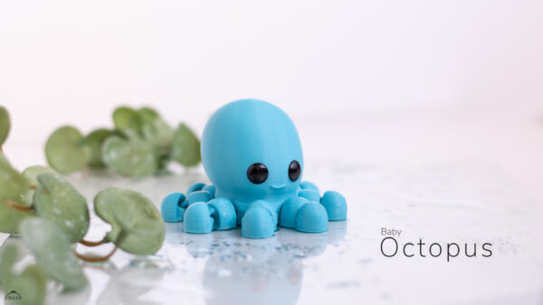 Zou3D-Baby-Octopus-3