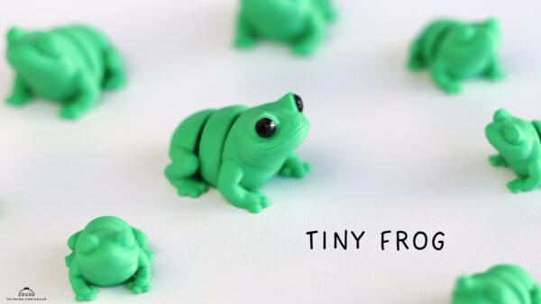 Zou3D-Tiny-Frogs-3