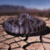 2026/07/1000003020.jpg Articulating Fidget Snake by McGybeer
