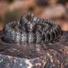 2026/07/1000003022.jpg Articulating Fidget Snake by McGybeer