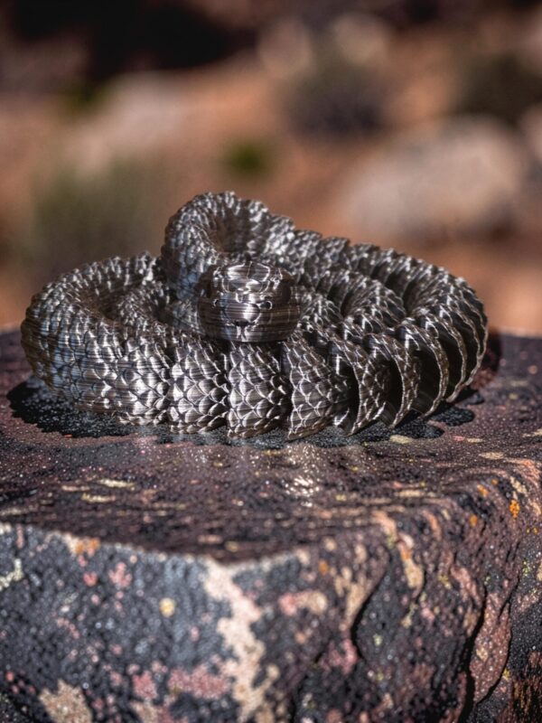 2026/07/1000003022.jpg Articulating Fidget Snake by McGybeer