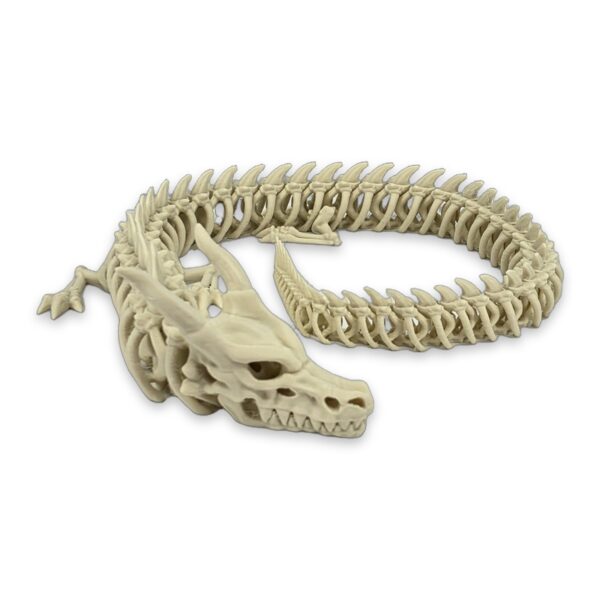 dragon-skeleton-articulating-fidget-toy-1 A cream-colored 3D printed dragon skeleton coiled into an oval, showing its articulating spine and horned skull.