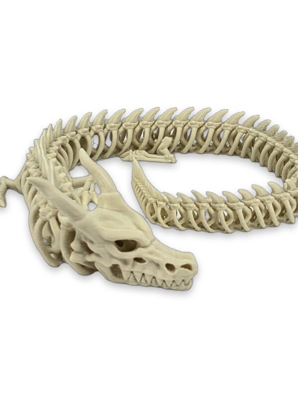 dragon-skeleton-articulating-fidget-toy-1 A cream-colored 3D printed dragon skeleton coiled into an oval, showing its articulating spine and horned skull.